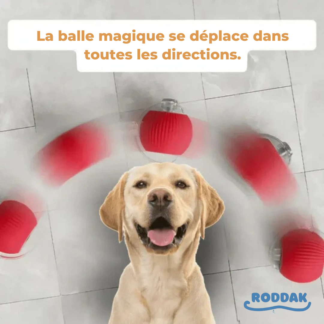 Balle Magique et Interactive pour Chiens