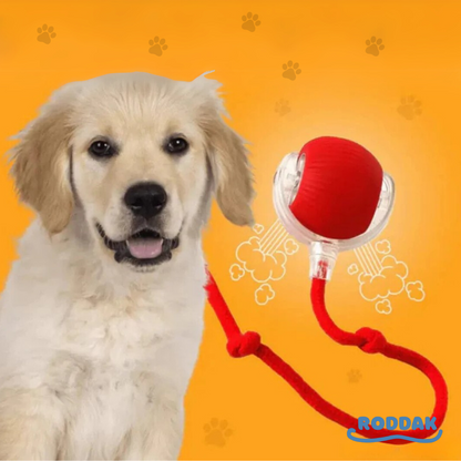 Balle Magique et Interactive pour Chiens