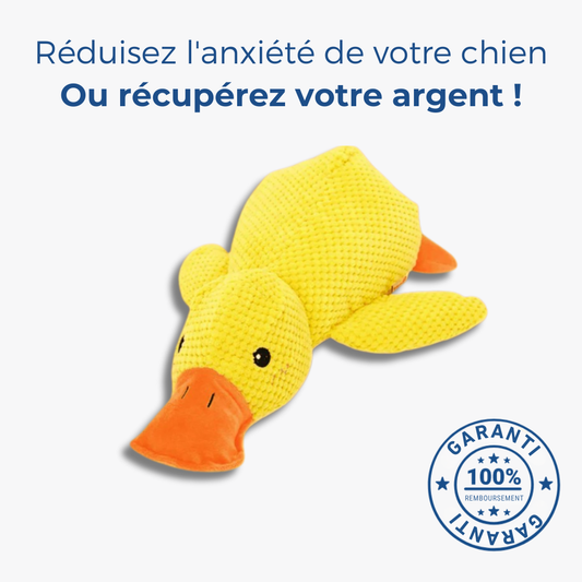 Canard Anti-Stress – Le Bestseller